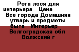 Рога лося для интерьера › Цена ­ 3 300 - Все города Домашняя утварь и предметы быта » Интерьер   . Волгоградская обл.,Волжский г.